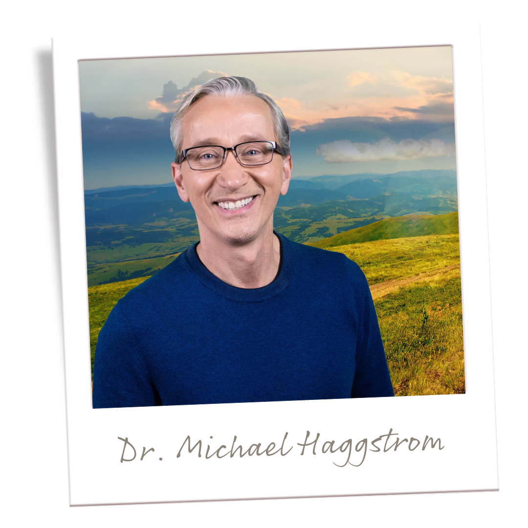 Dr. Michael Haggstrom expert in trauma narcissistic abuse recovery healedminds.com